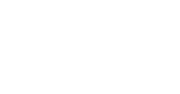 Blip