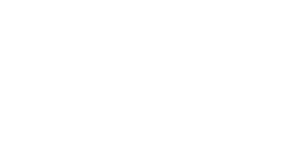 Flow Podcast