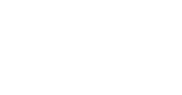 PK XD