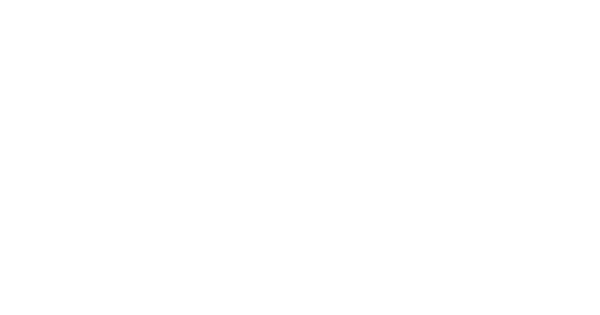 WideLabs